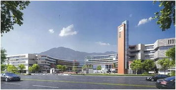 富力伯爵山 ∣ 書香縈繞,門外學(xué)府門里家