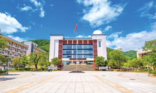 博羅縣博師高級中學從 新 出發護航學生全面發展