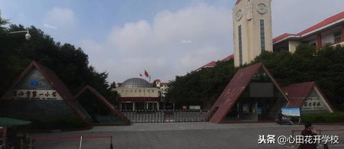 最新出爐 四川省 省級(jí)文明校園 先進(jìn)學(xué)校名單公示