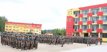 揮灑汗水,筑夢青春——記安徽省中旅攜手肥西桃花中學、潮安彩塘中學組織新生軍訓拓展活動